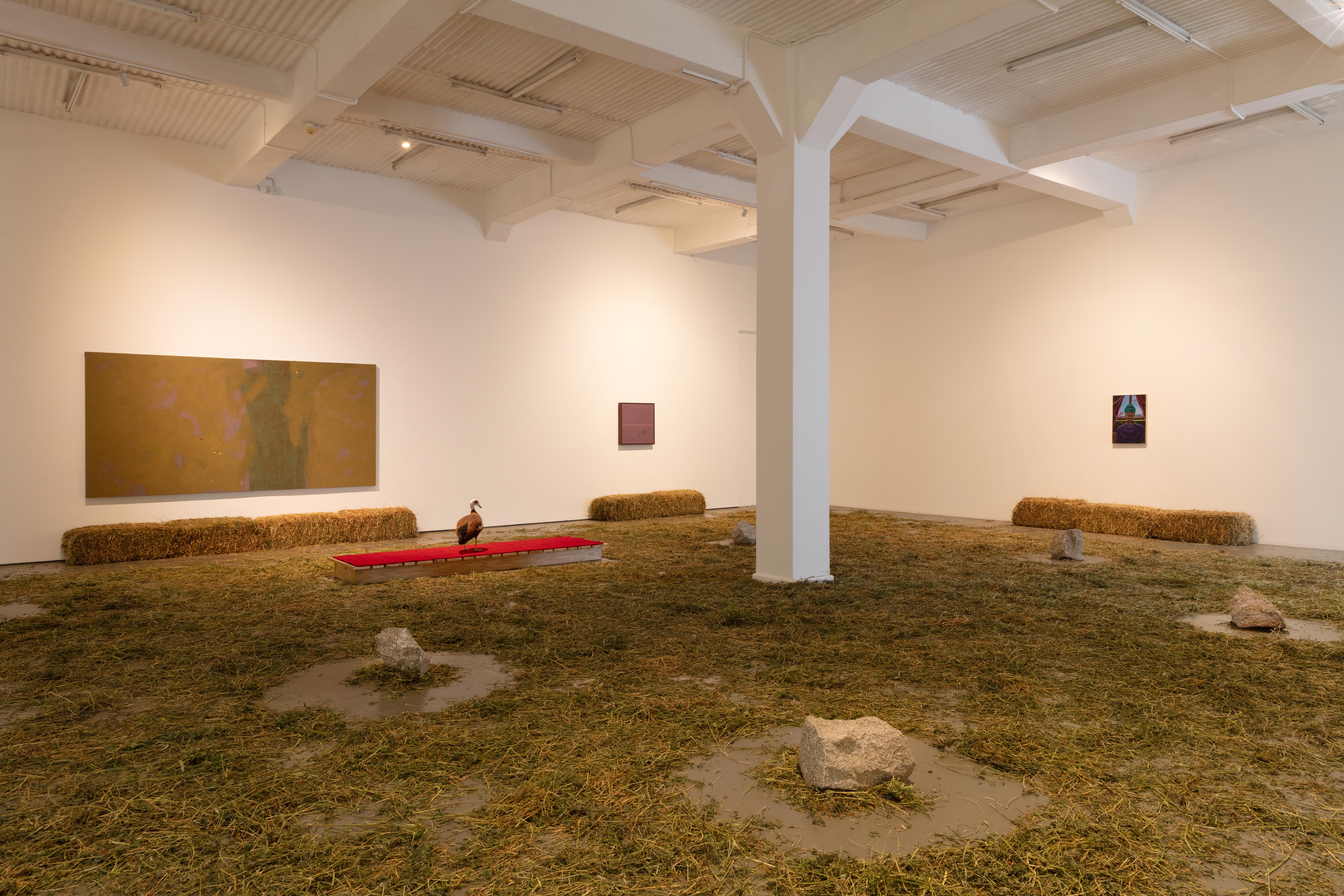 Installation view