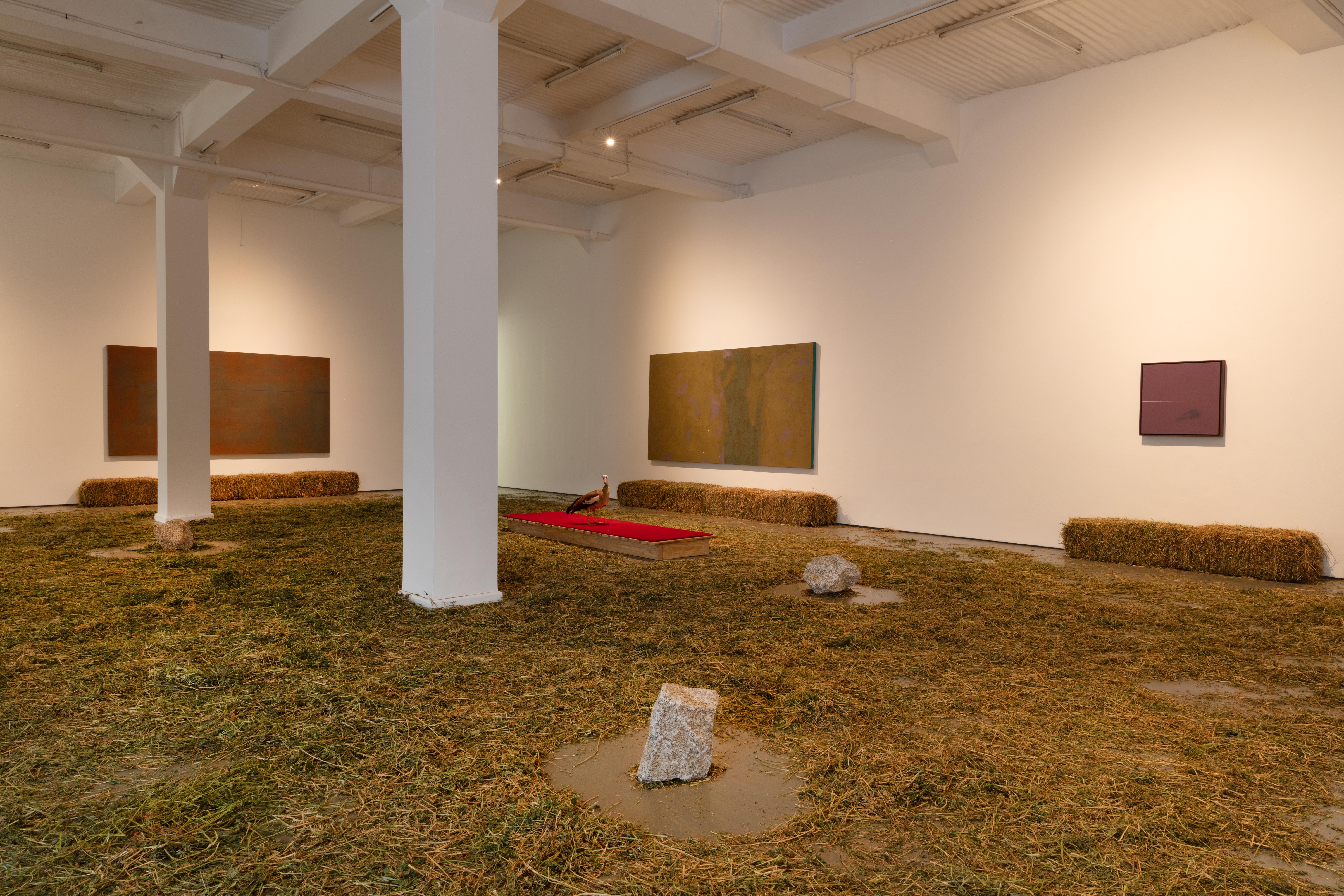 Installation view