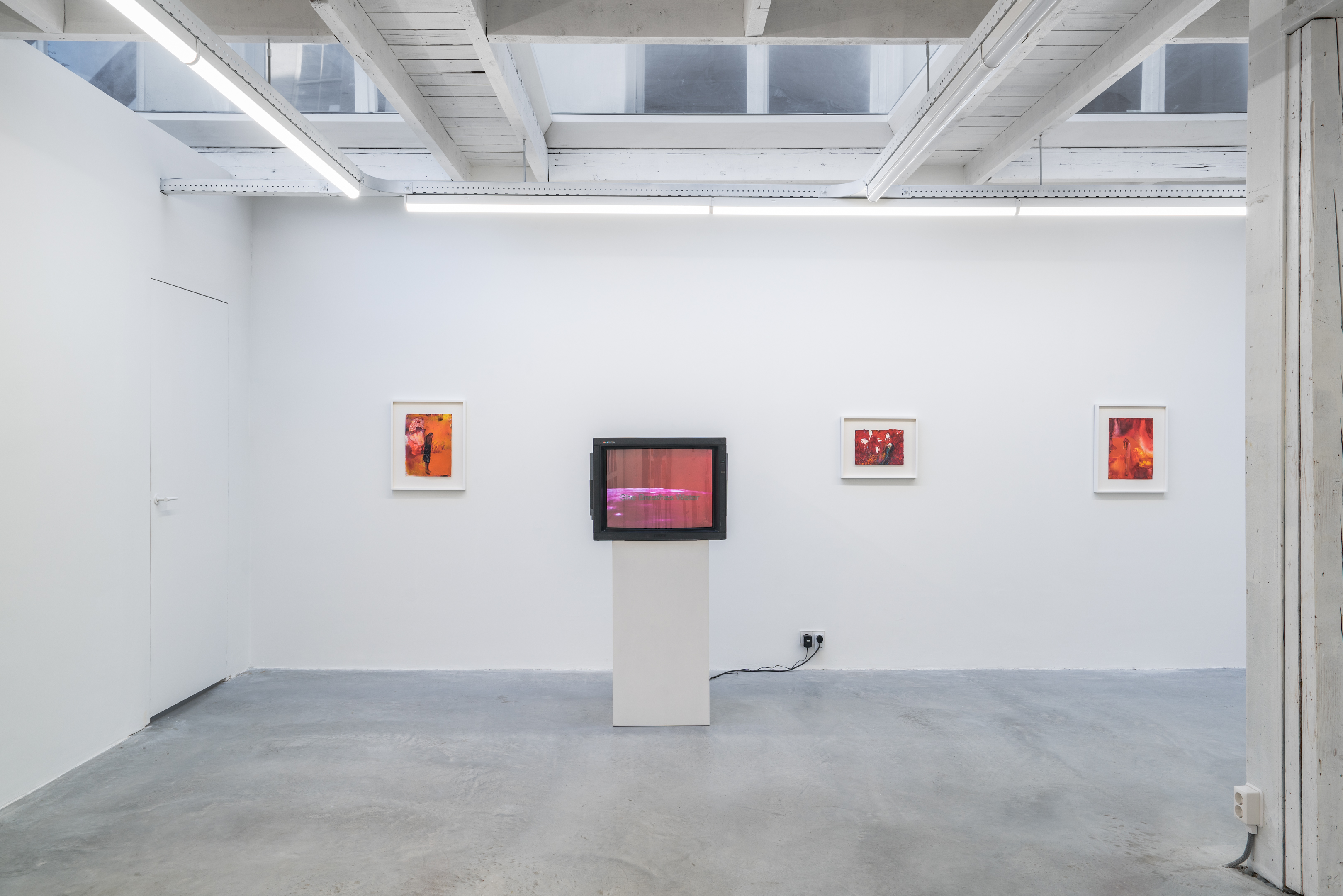 Installation view