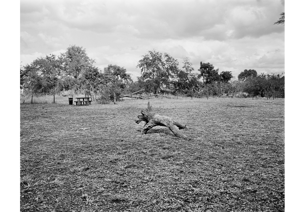  - A picnic place, Kruger National Park, 2015