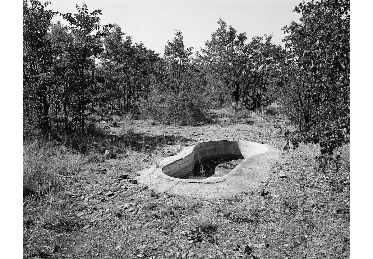  - Pool, Kruger National Park, 2015