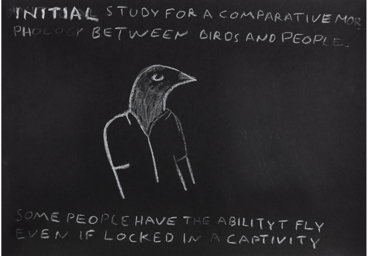 Paulo Nazareth - INITIAL STUDY FOR A COMPARATIVE MORPHOLOGY BETWEEN BIRDS AND PEOPLE [Some people have the ability t fly even if locked in a captivity], 2021