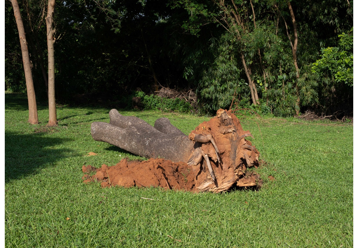 Rahima Gambo - A Walk Landscape VI, Abuja, Nigeria, 2018