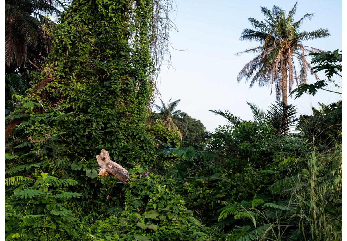 Rahima Gambo - A Walk Landscape III, Lagos, Nigeria, 2018