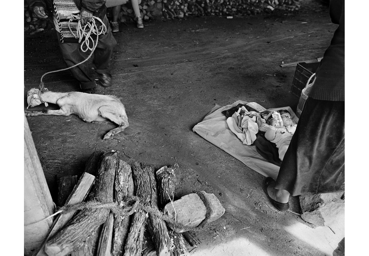  - Little ones, Oaxaca, 2018