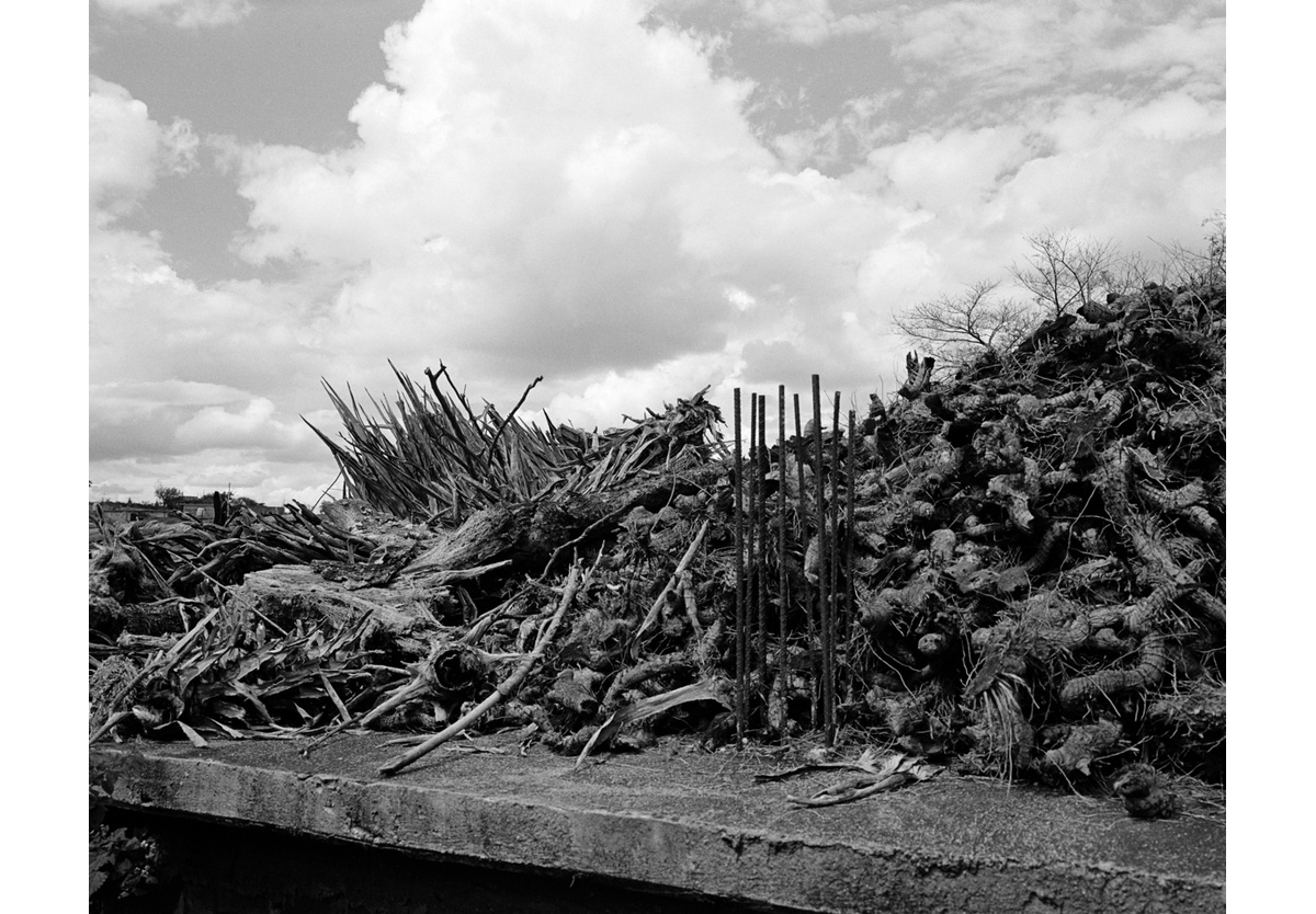  - Rooftop, Oaxaca, 2018