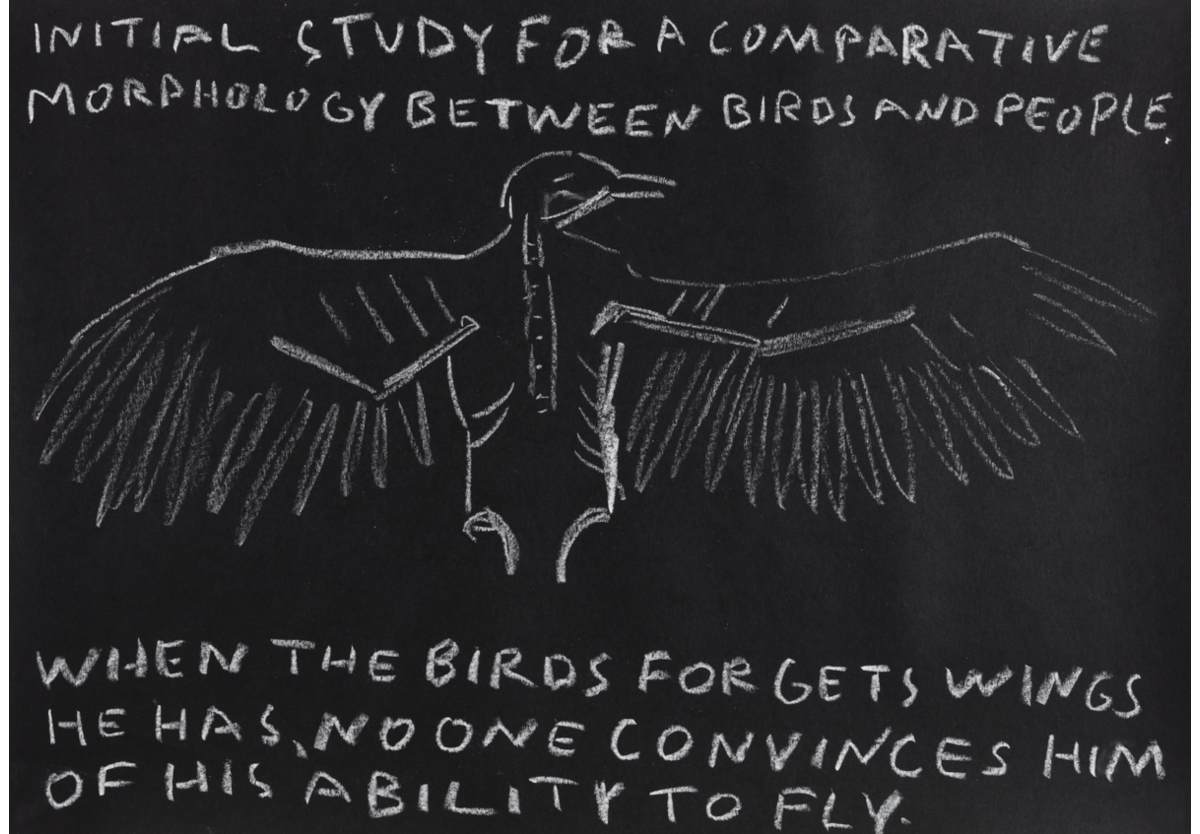 Paulo Nazareth - INITIAL STUDY FOR A COMPARATIVE MORPHOLOGY BETWEEN BIRDS AND PEOPLE [When the birds forgets wings he has no one convinces him of his ability to fly], 2021