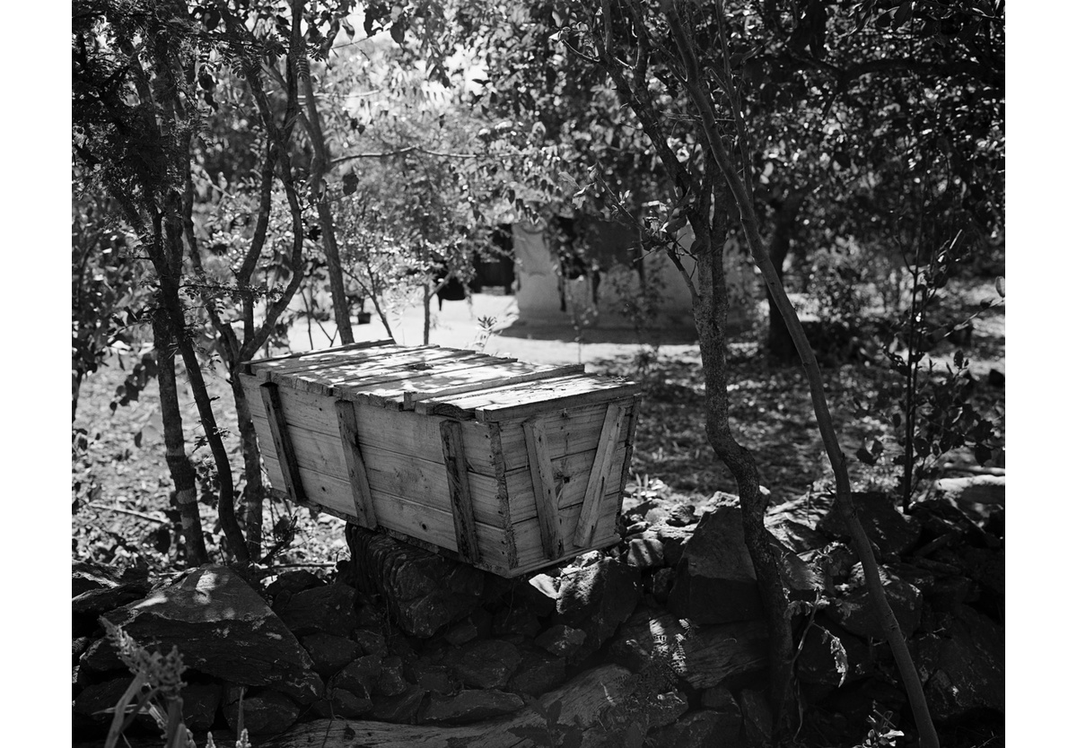  - The Beekeeper, Masvingo, 2017