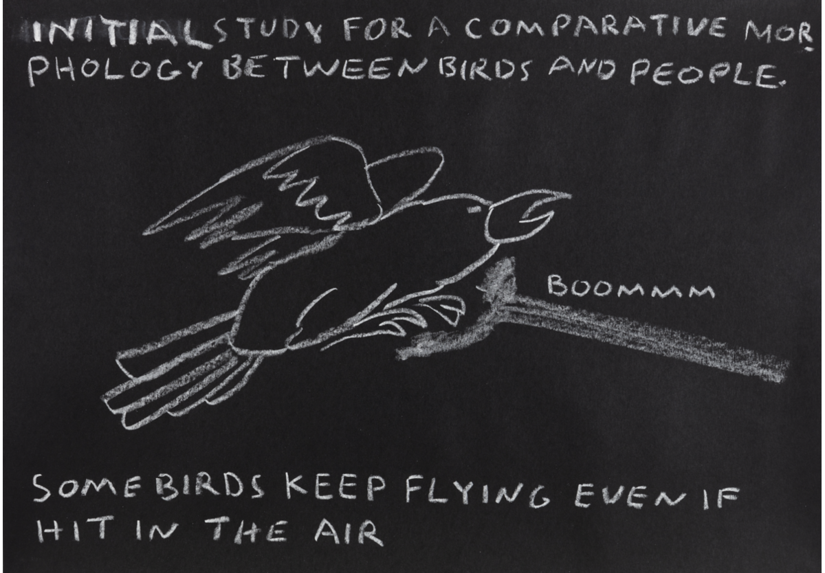 Paulo Nazareth - INITIAL STUDY FOR A COMPARATIVE MORPHOLOGY BETWEEN BIRDS AND PEOPLE [Some birds keep flying even if hit in the air], 2021