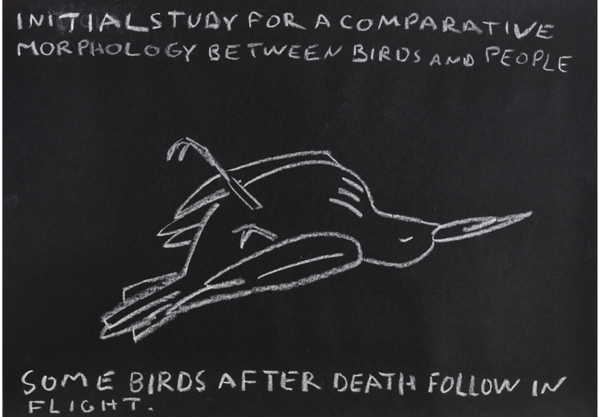 Paulo Nazareth - INITIAL STUDY FOR A COMPARATIVE MORPHOLOGY BETWEEN BIRDS AND PEOPLE [Some birds after death follow in flight], 2021