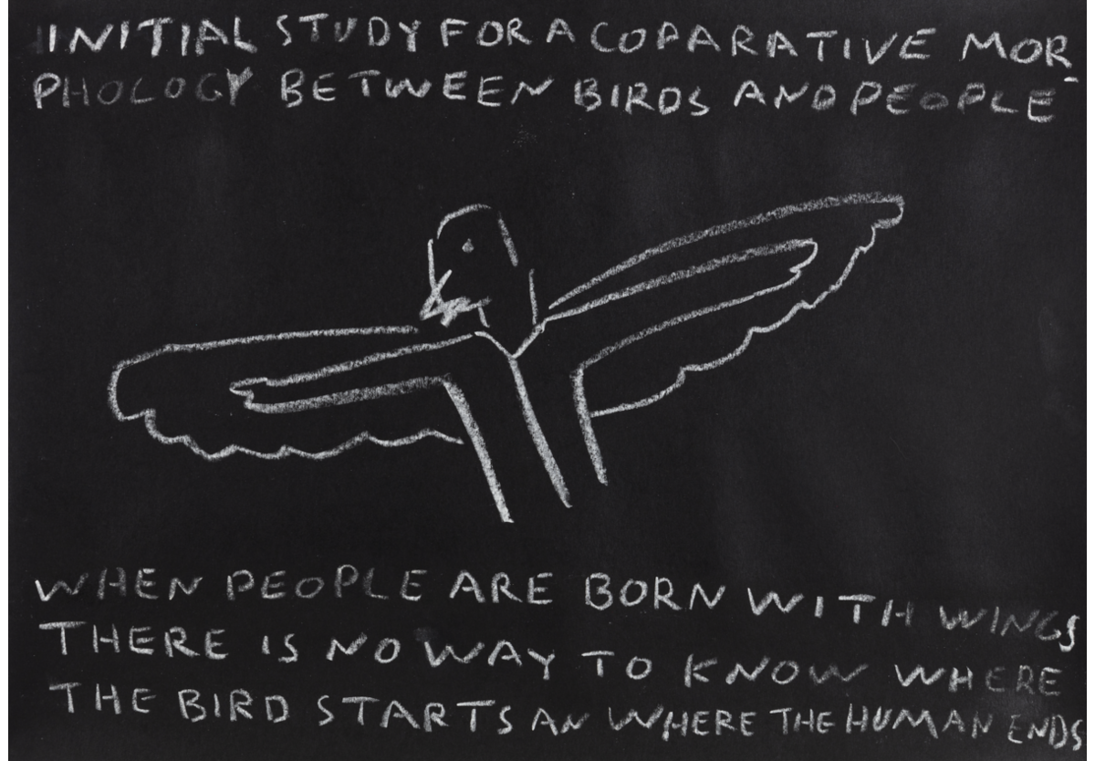 Paulo Nazareth - INITIAL STUDY FOR A COMPARATIVE MORPHOLOGY BETWEEN BIRDS AND PEOPLE [When people are born with wings there is no way to know where the bird starts an where the human ends], 2021