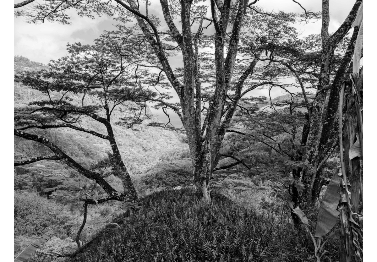  - Hiva Oa, French Polynesia, 2010