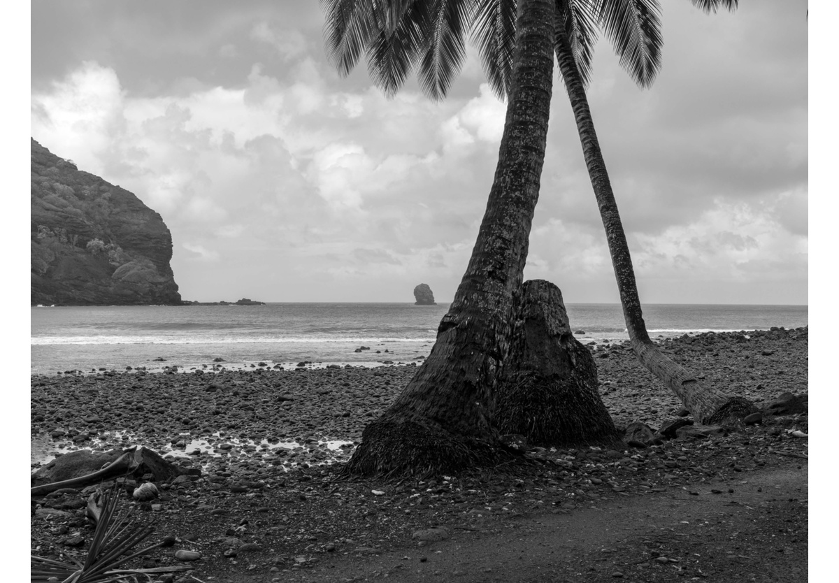  - Hiva Oa, French Polynesia, 2010