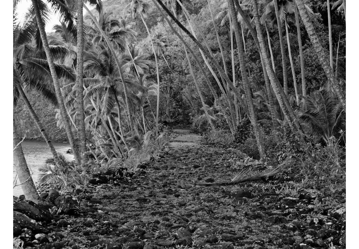  - Hiva Oa, French Polynesia, 2010