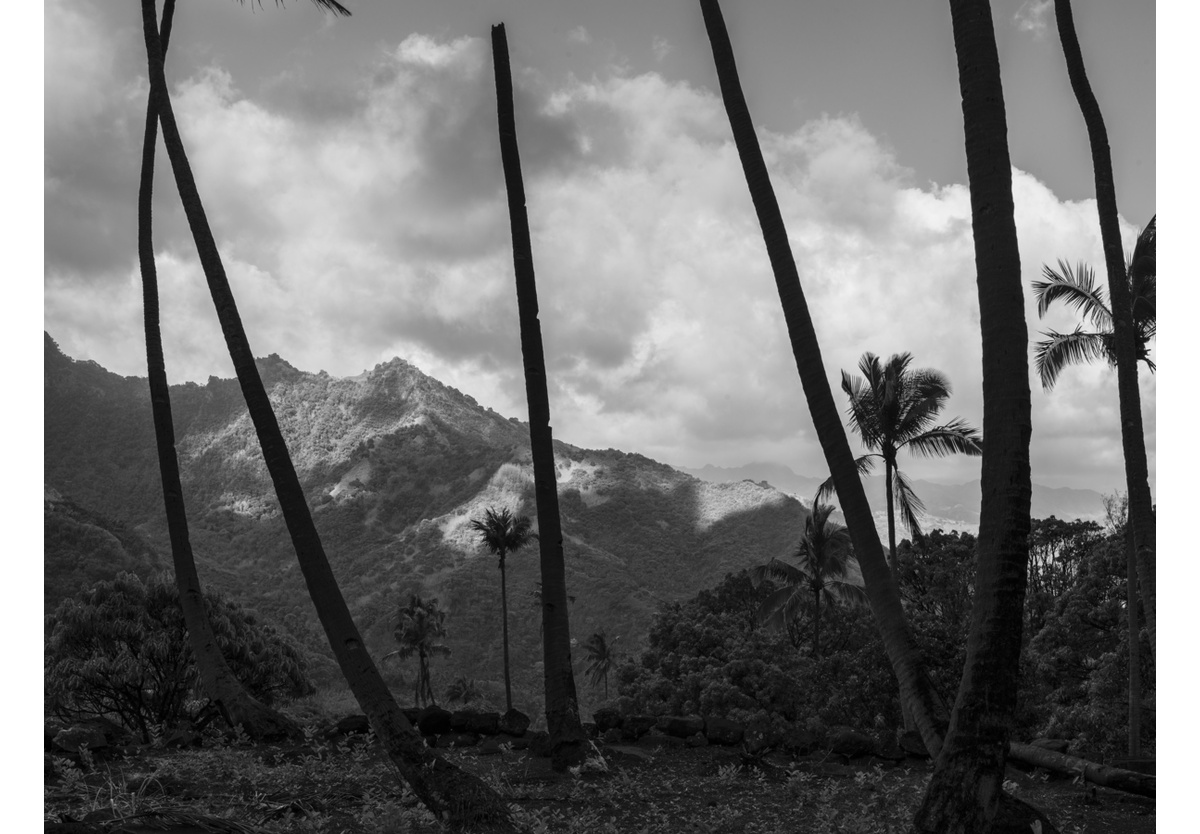  - Hiva Oa, French Polynesia, 2010