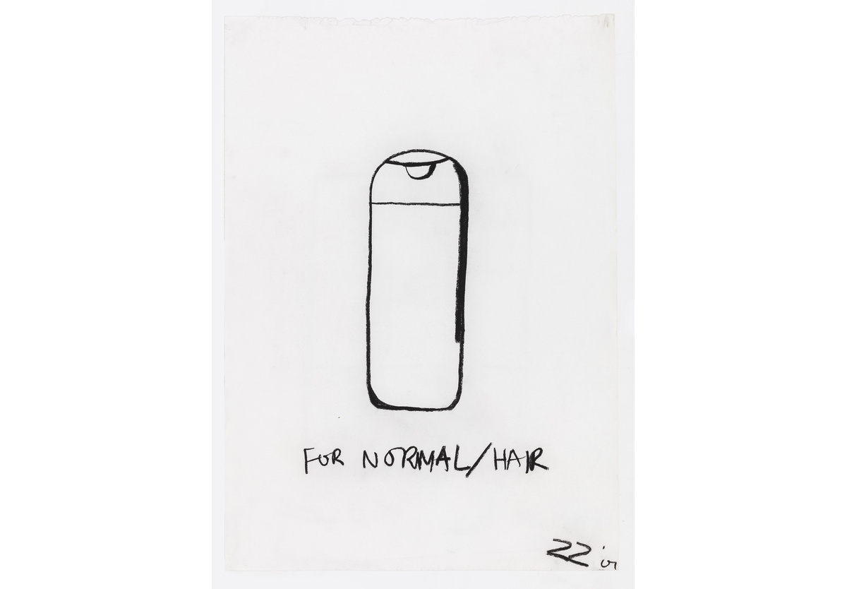  - FOR NORMAL/HAIR, 2001