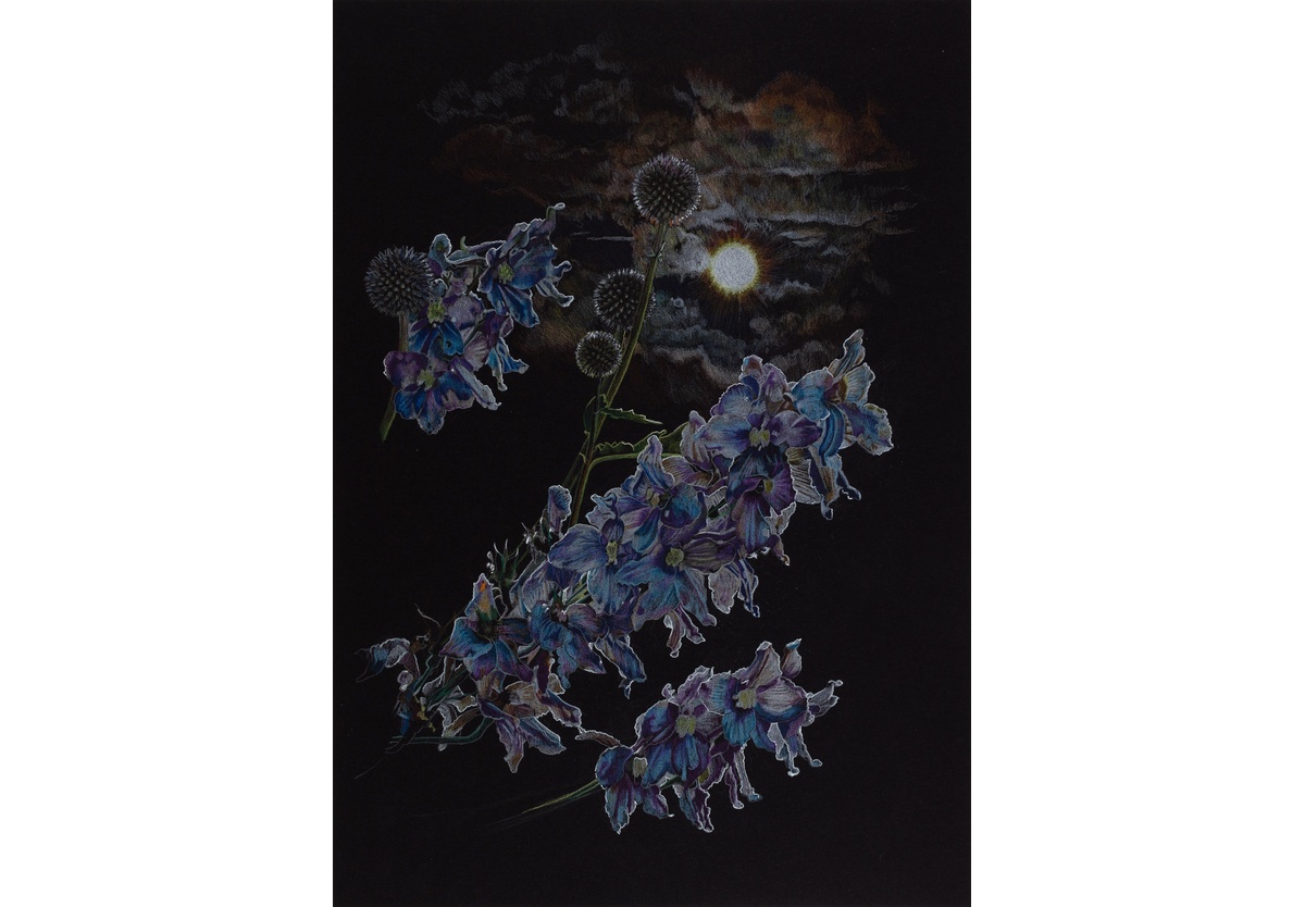 Deborah Poynton - Drawing on Black Paper 16, 2021