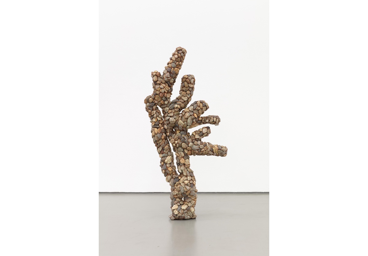 Bronwyn Katz - Maaghout (Stomach wood) (ii), 2024