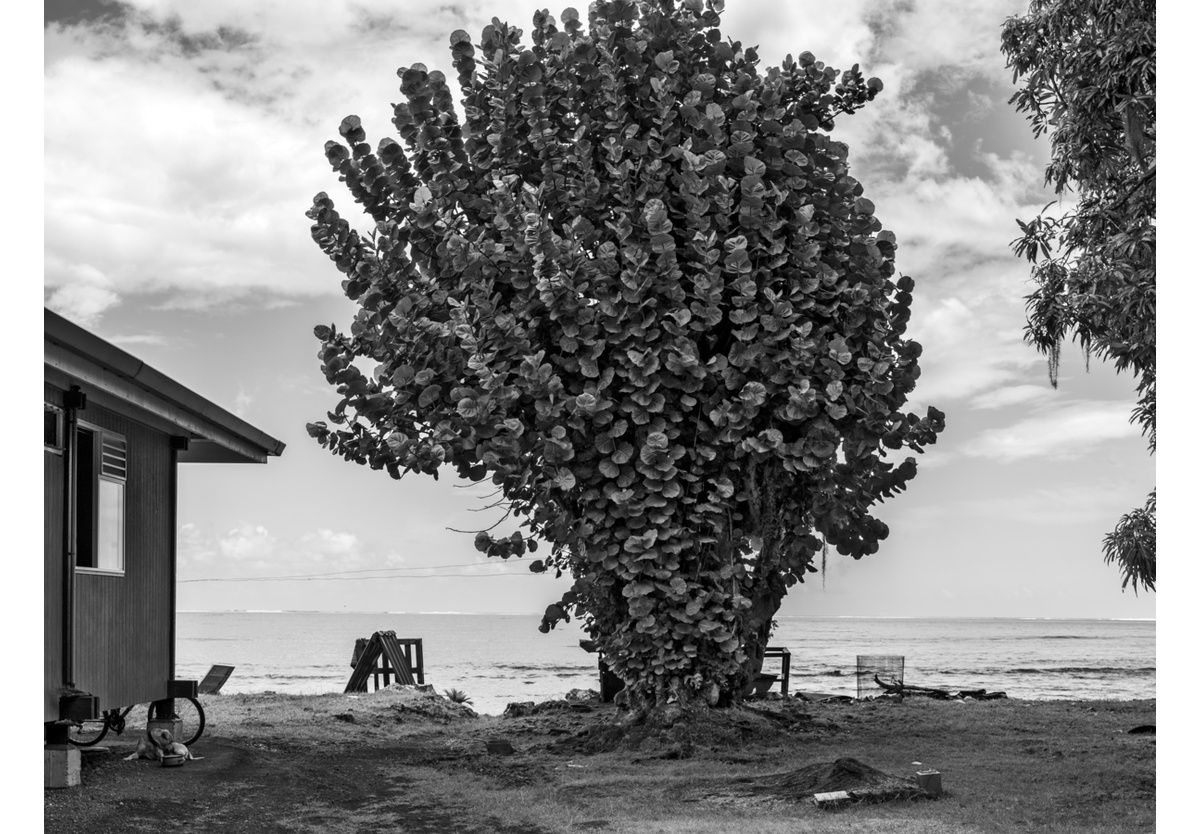  - Mo'orea, French Polynesia, 2010