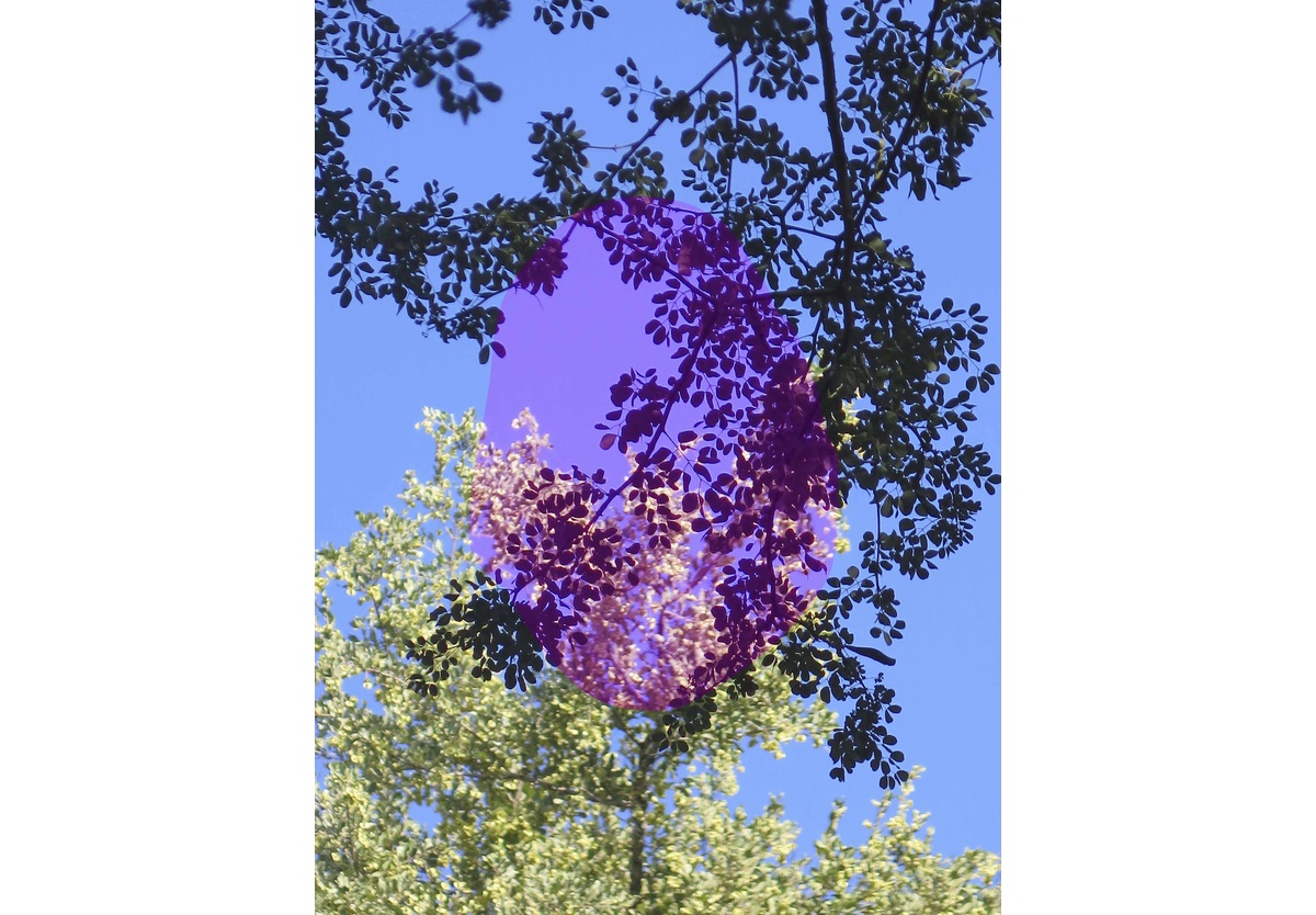 Viviane Sassen - Ovo, 2017