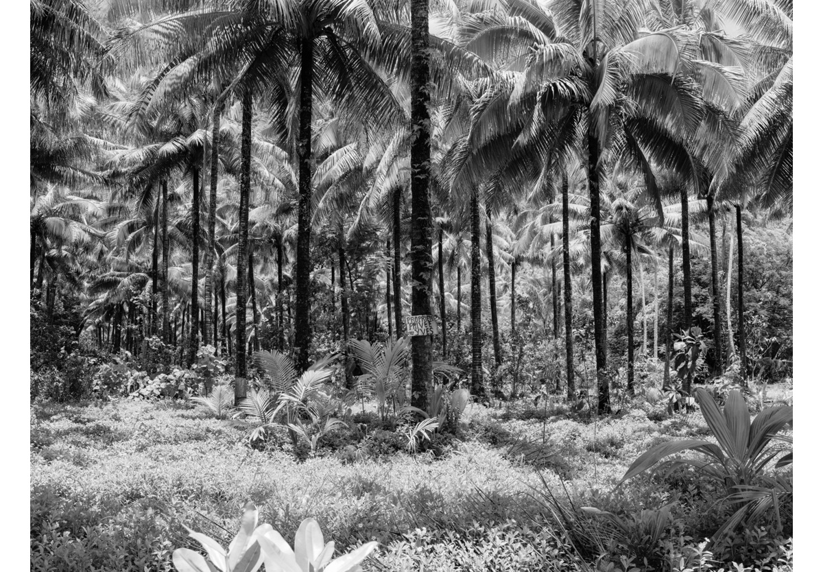  - Tahiti, French Polynesia, 2010