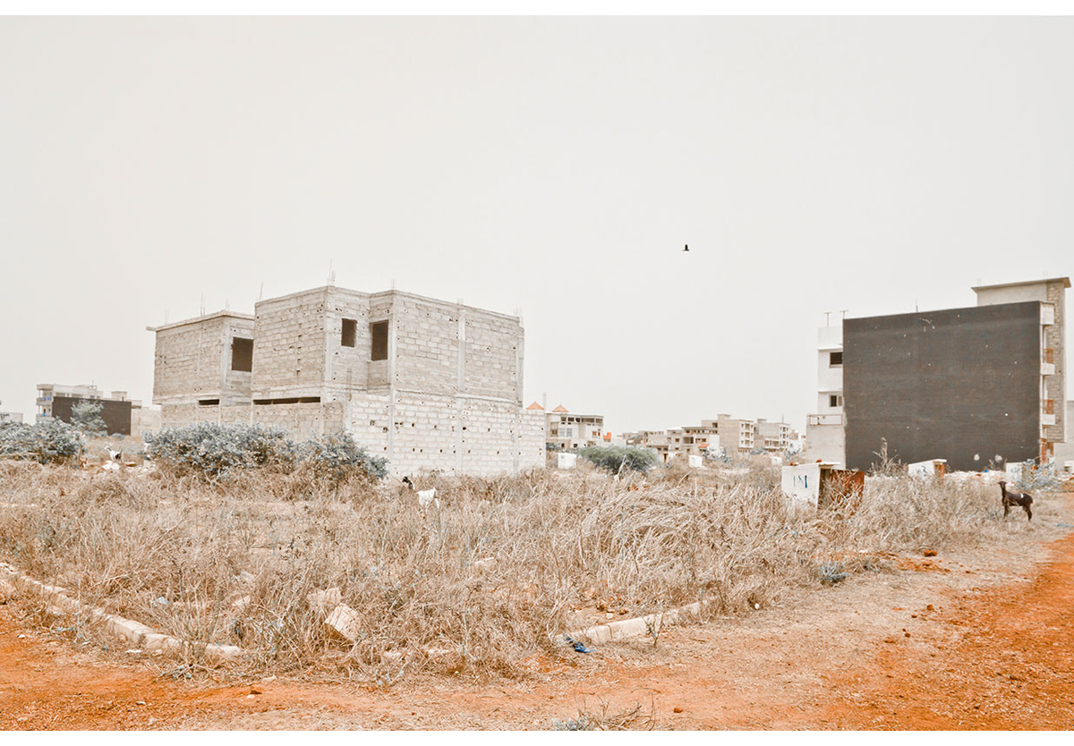 Mame-Diarra Niang - 13. Untitled, 2013