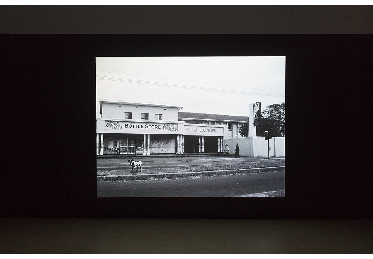 Jane Alexander - Survey: Cape of Good Hope 2005-9, 