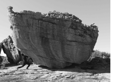 African Sisyphus