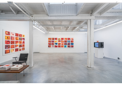 Installation view