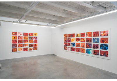 Installation view