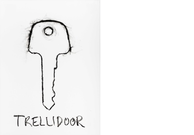 Trellidoor key